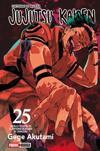 Jujutsu Kaisen #25